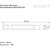 Биты для шуруповерта Gigant GBS 11030